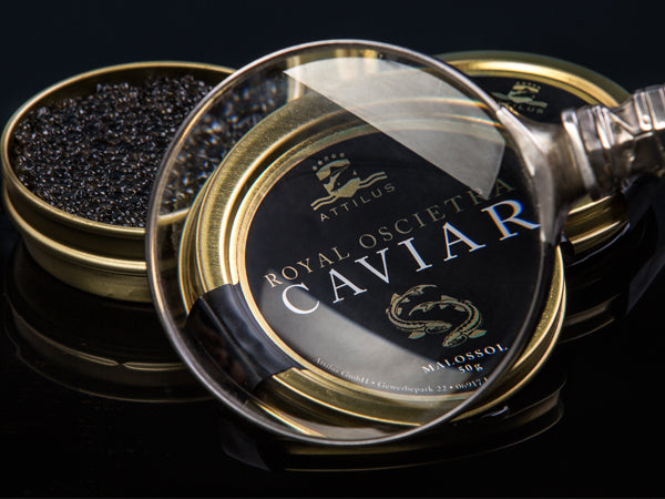 Bulgarian Sturgeon Caviar – 30g – Bulgarian Caviar